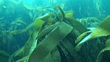 2011-06-15 16-58-55 UK_18